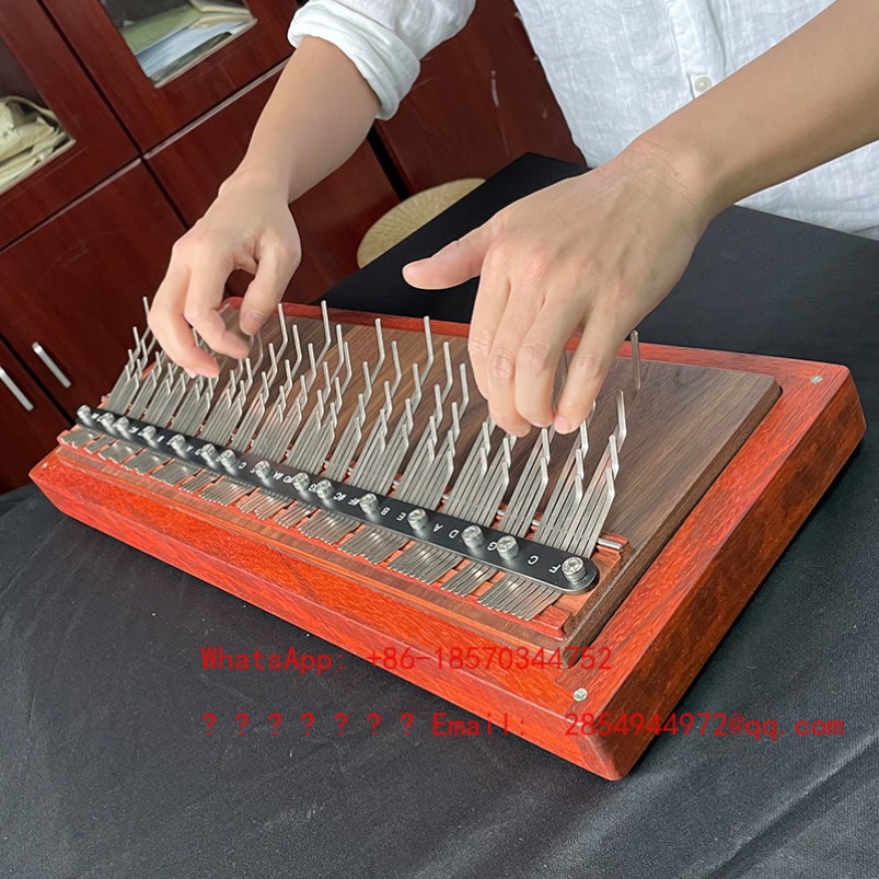 Piano à pouces portable profes - Mountain Biking For Beginners avis et prix